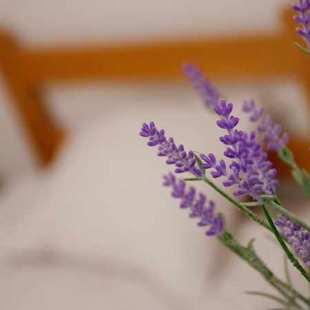 Guesthouse Night&Day Суботица Экстерьер фото